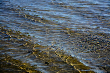 waves on the sand beach creating crocodile texture
