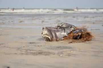 ruin statue on beach