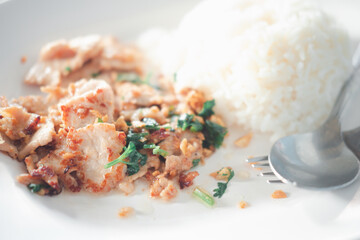 Pork fried with crunchy garlic with rice. Thai style food