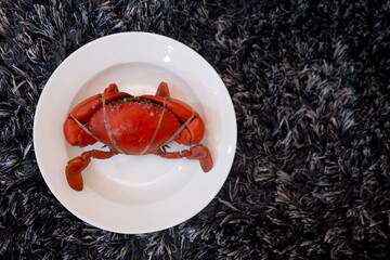 Steamed serrated mud crab or mangrove crab on white plate