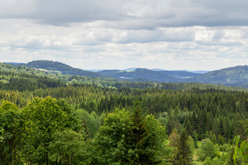Idyllic Bavarian Forest scenery