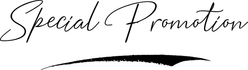 Special Promotion Handwritten Font Calligraphy Font For Sale Banners Flyers 
and Templates