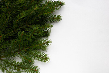 Green fir branches lie on a white background. Space for your text. New year's concept of Christmas