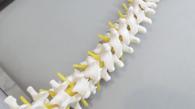 Cervical and thoracic spine massage bed chiropractic second take