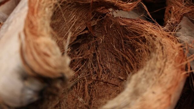 Close- Up Footage of Dried Coconut Shell
