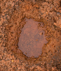 its water collected in the gap of a rock in the morning light