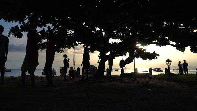 Silhouettes of People Training Calisthenics under Big Tree wit a Beach Ocean view in Stone Town, Zanzibar. Admiring the Sunset.
