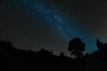 Fototapeta na wymiar Blue dark night sky with many stars. Night sky over rural landscape. high ISO landscape with fisheye lens