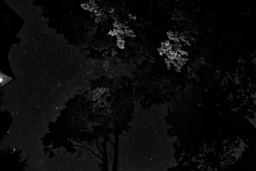 Blue dark night sky with many stars. Night sky over rural landscape. high ISO landscape with...
