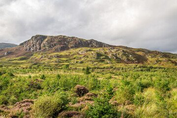 Craigdews, Bargaly Glen, Dumfries and Galloway, Scotland
