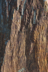 Natürlicher Hintergrund