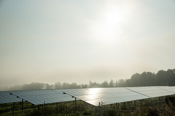 solar panels beside the highway in morning fog