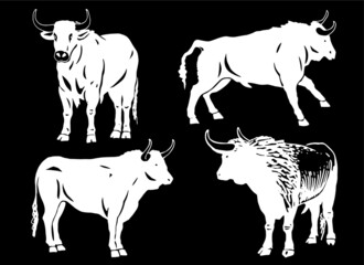 Black and white set of oxen on black background, vector