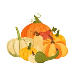 Concept with various pumpkins. Vector illustration
