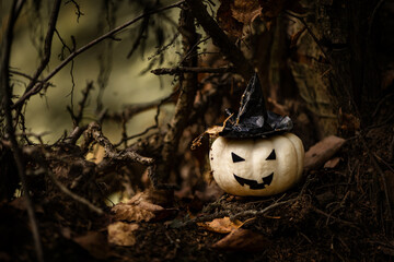 Halloween Pumpkin With Ugly Smile Wearing Black Witch Hat In  Spooky Forest