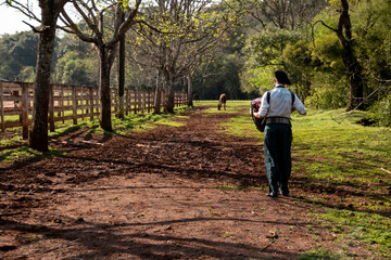 Boy with gaucho dress walking and playing harmonica on a road with horses