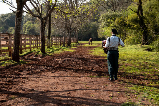Boy with gaucho dress walking and playing harmonica on a road with horses - Powered by Adobe