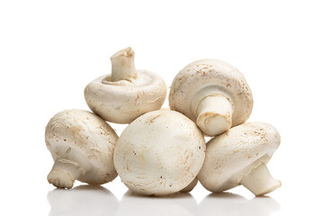 Close up of large fresh champignons (button mushrooms) on smooth reflective surface. Isolated on white background