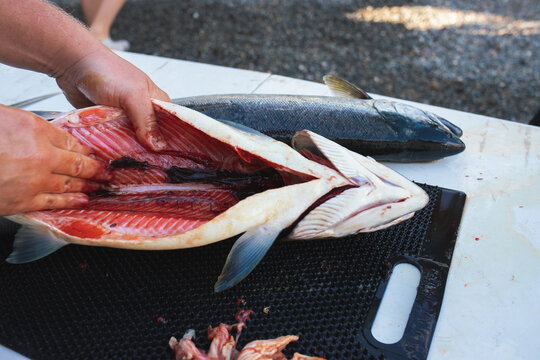 inside freshly gutted salmon 
