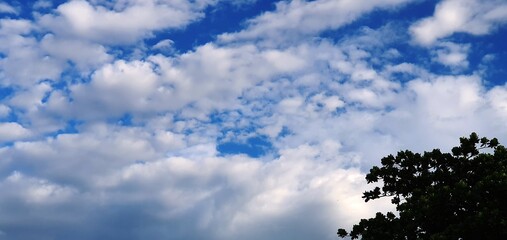 C&eacute;u azul com muitas nuvens e &aacute;rvore - Blue sky with lots of clouds and tree