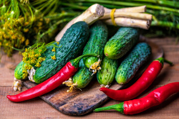 horseradish, dill, pepper, cucumbers for cucumber on a wooden table