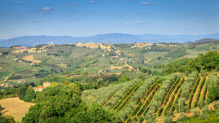 Fototapeta na wymiar Italian countryside in Tuscany