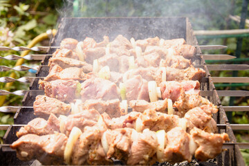 Shish kebab on a skewer, barbecue, meat preparation, protein, fried pork, food preparation, rest,...