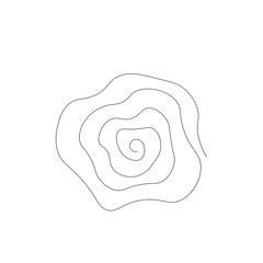 Rose flower line drawing, vector illustration