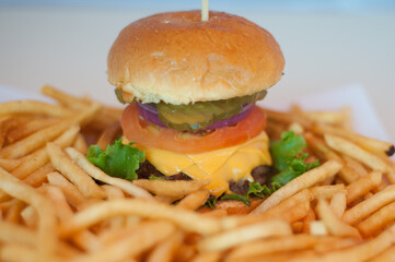 Cheese burger and fries