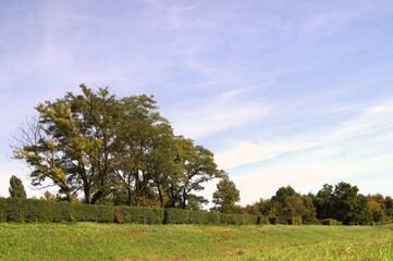 Fototapeta na wymiar Landscape with trees against the blue sky.3