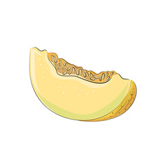 Set of hand drawn vector illustration of yellow melon fruit against white background. Whole, sliced, sliced melon, leaves, flowers. Design for fabric, paper, menu, cuisine, cafes and restaurants.
