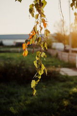Nature Of The Urals...