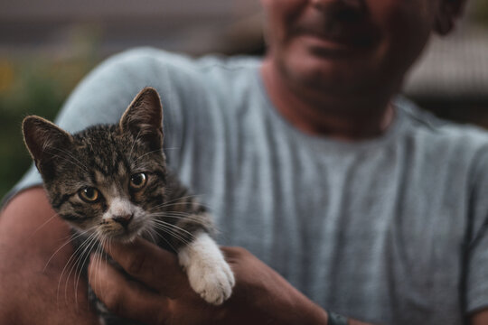 person with young kitten, cat