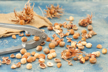Fototapeta na wymiar Hazelnuts with nut cracker on rustic blue background. Organic hazelnuts with broken hazel shells. Healthy, vegetarian food.