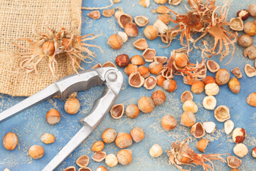 Fototapeta na wymiar Hazelnuts with nut cracker on rustic blue background. Organic hazelnuts with broken hazel shells. Healthy, vegetarian food. Top view.