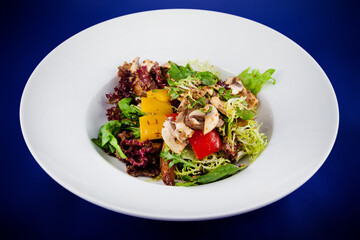 Vegetable salad with mushrooms, bell peppers, onions, lettuce and sauce with mustard seeds.