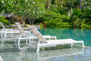 Beautiful view of swimming pool with Green tropical garden in cozy resort, phi phi island, Thailand