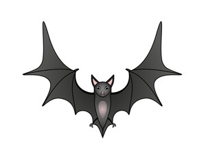 Bat - vector full color illustration. A cute gray bat in flight. the flying fox is a bats mammal.