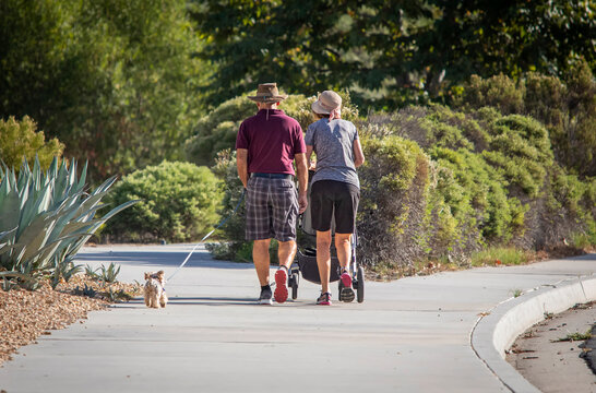 Image from behind older couple with man wearing plaid pants pushing stroller and walking thier dog down a sidewalk