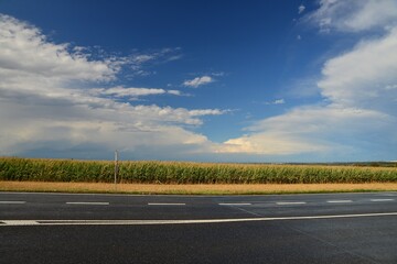 View of a road near a corn field with white clouds in the background. Road after the rain. Road by...