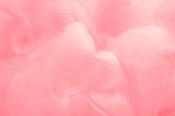 Fototapeta premium Beautiful abstract gray and pink feathers on white background, white feather frame texture on pink pattern and pink background