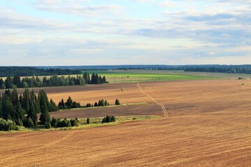 Fototapeta premium Bird's eye view of the coniferous forest and agricultural fields
