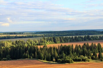 Fototapeta na wymiar Bird's eye view of the coniferous forest and agricultural fields