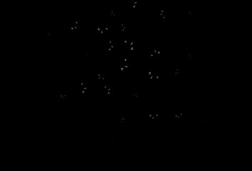 Dark Gray vector background with triangles.