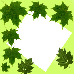 maple leaves mockup on the edges