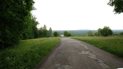 Fototapeta premium road in the forest