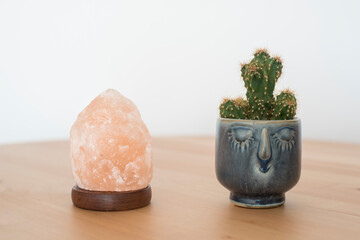 Small cactus on a blue faced pot next to a Himalayan pink salt lamp. White background.