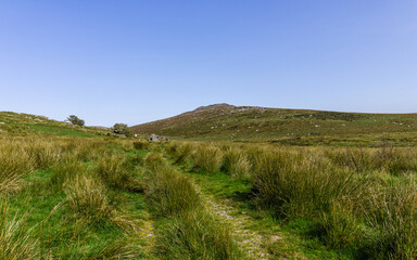 view of the Moorland