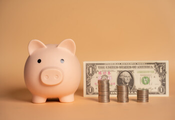Pink piggy bank on dollars