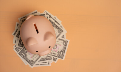 Pink piggy bank on dollars